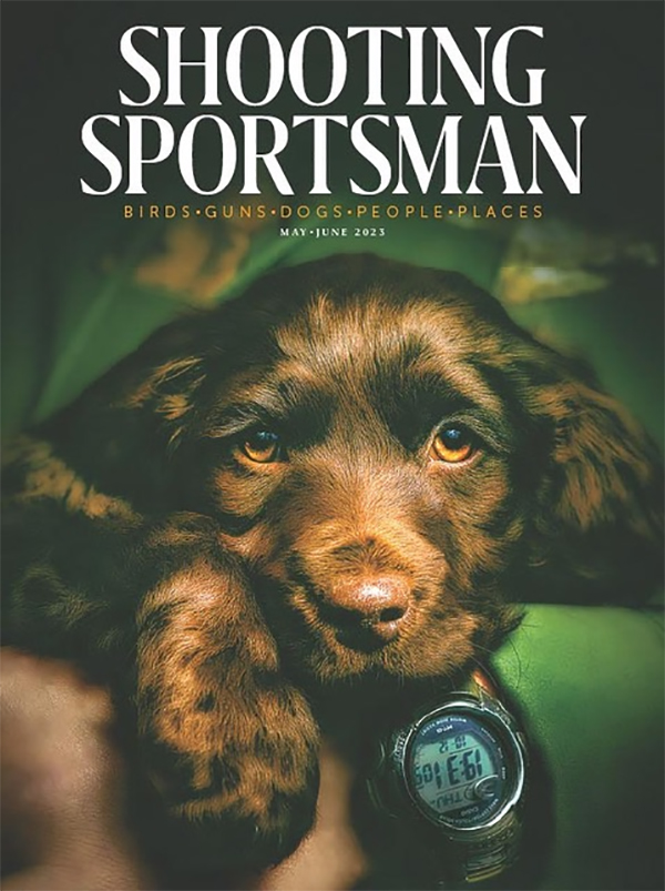 Shooting Sportsman cover