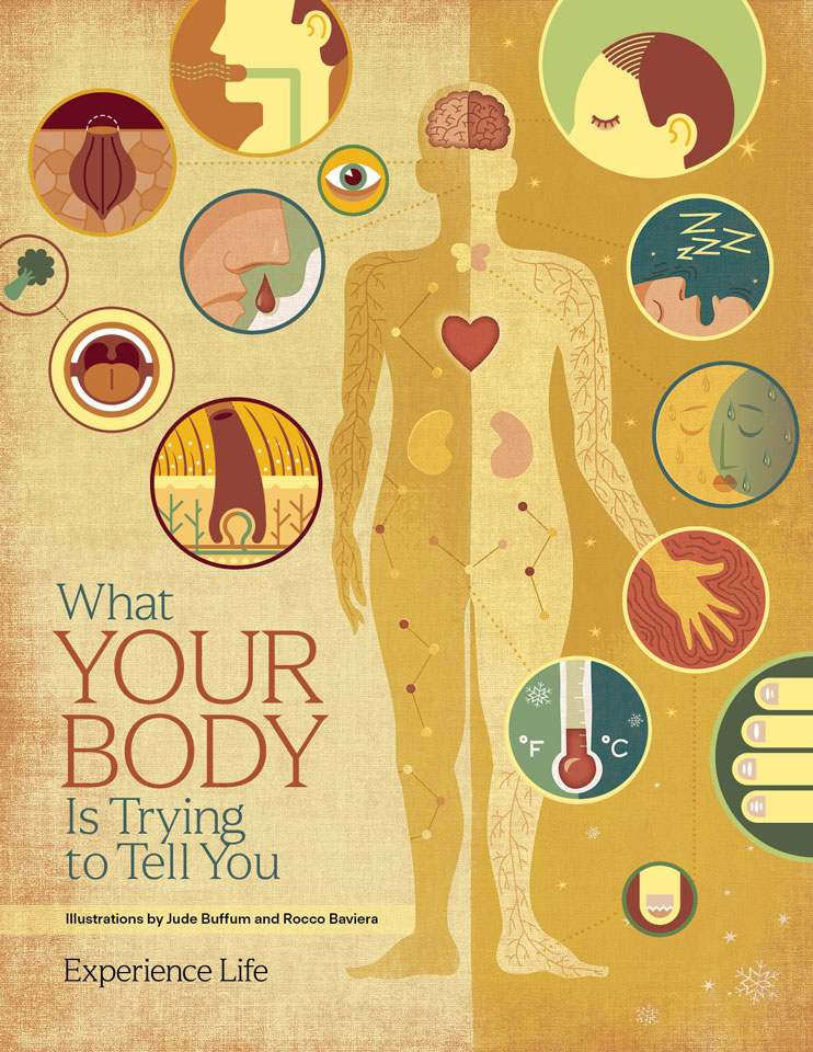 What Your Body Is Trying to Tell You Guide