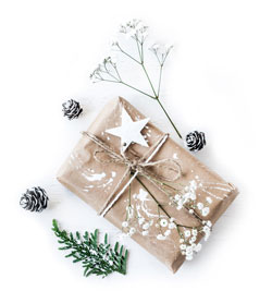 HolidayGift_img
