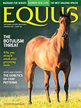  Current Issue