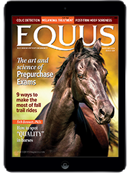 EQUUS