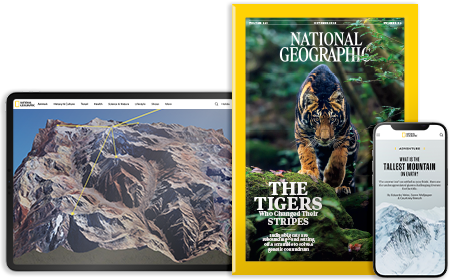 NGM Print Cover