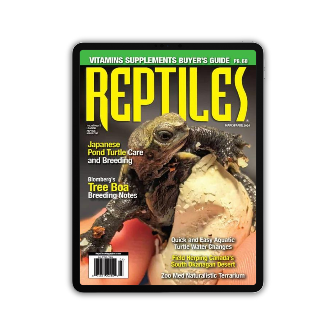 Reptiles